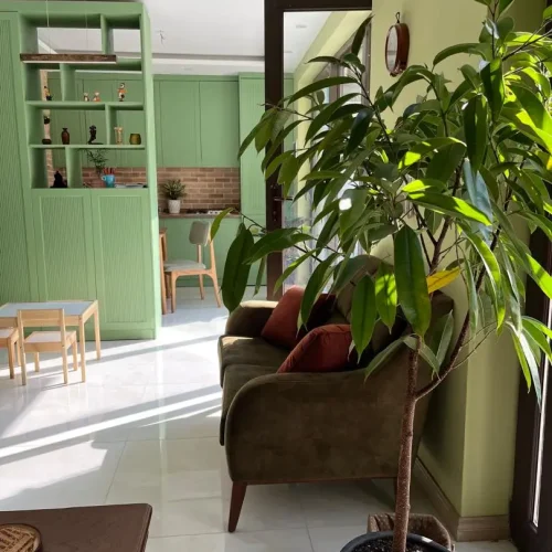 WhatsApp Image 2025-11-22 at 12.10.45